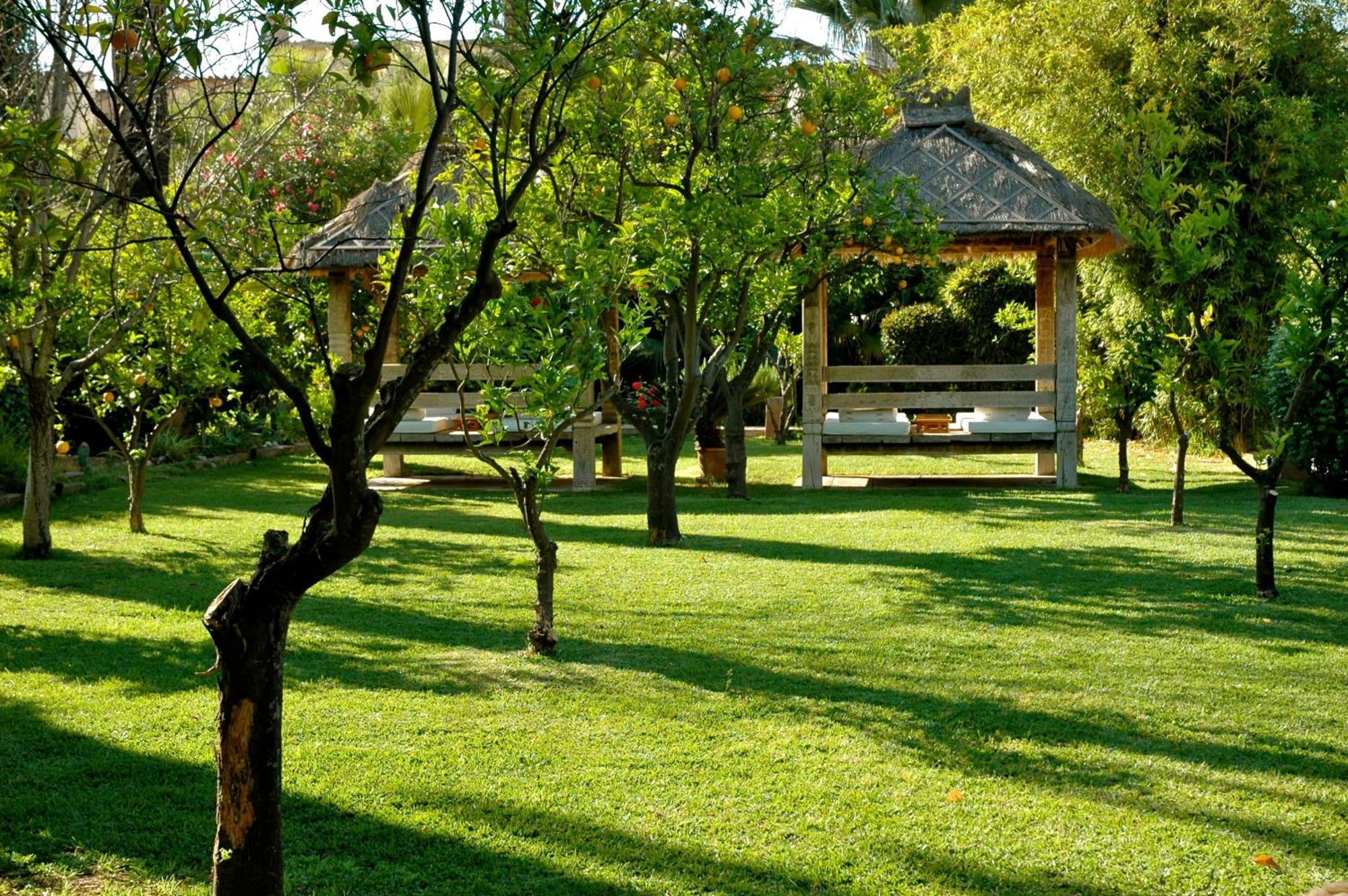 Hotel Can Roses Soller Ngoại thất bức ảnh