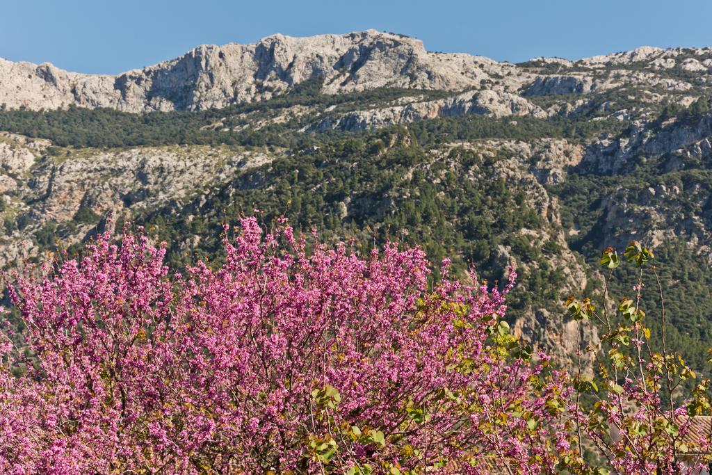 Hotel Can Roses Soller Ngoại thất bức ảnh
