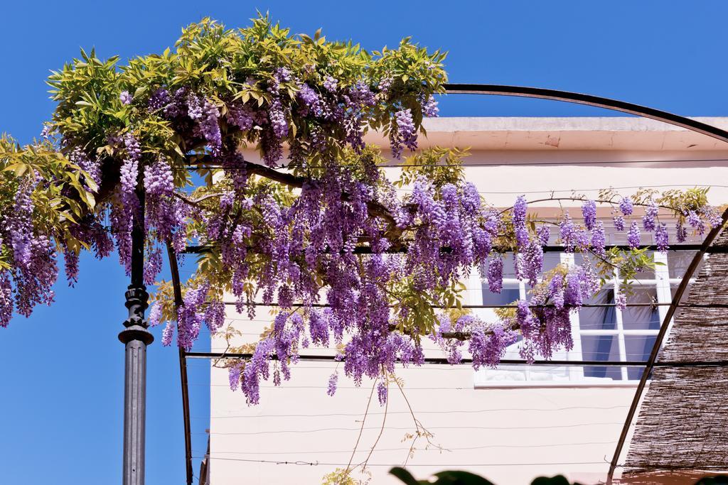 Hotel Can Roses Soller Ngoại thất bức ảnh