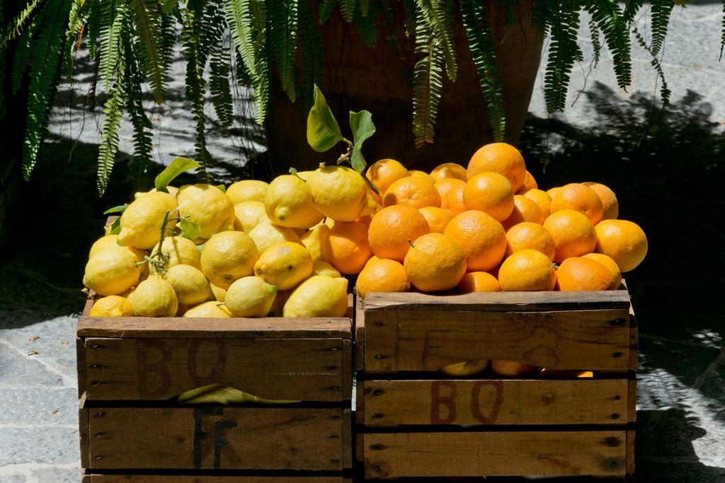 Hotel Can Roses Soller Ngoại thất bức ảnh